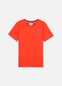 tee shirt lacoste enfants