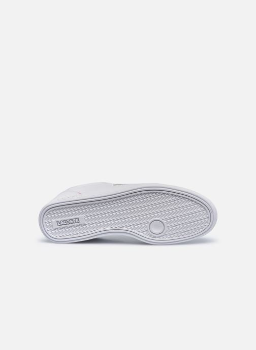 lacoste graduate cap