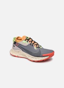 nike trail gtx 2