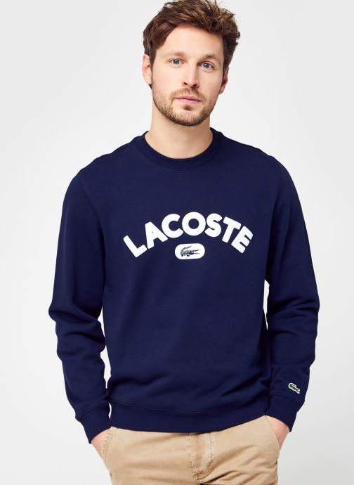 lacoste sweat shirt