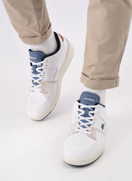 lacoste court cage