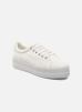 Sneakers Plato Sneaker By No Name no name kopen in de aanbieding
