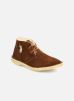 Us Polo Assn Veterschoenen Aileen By Jes us polo assn kopen in de aanbieding