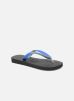 Slippers Top Mix Kid By Havaianas havaianas kopen in de aanbieding