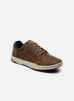 Sneakers Colfax By Caterpillar caterpillar kopen in de aanbieding