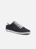 Sneakers Harlow 1D By Tommy Hilfiger tommy hilfiger kopen in de aanbieding