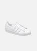 Sneakers Superstar 80S Metal Toe W By Adidas Originals adidas originals kopen in de aanbieding Sneakers Superstar 80S Metal Toe W By Adidas Originals adidas originals kopen in de aanbieding