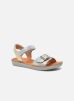 Sandalen Goa Sandal By Shoo Pom shoo pom kopen in de aanbieding