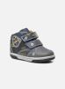 Sneakers B Flick B D B6437D By Geox geox kopen in de aanbieding