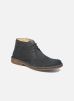 Veterschoenen Lord By Hush Puppies hush puppies kopen in de aanbieding