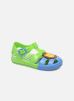 Sandalen Jenny Sandals Lion By Colors Of California colors of california kopen in de aanbieding