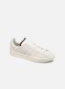 Sneakers Campus By Adidas Originals adidas originals kopen in de aanbieding