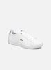 Sneakers Carnaby Evo Bl 1 Kids By Lacoste lacoste kopen in de aanbieding