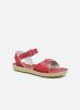 Saltwater Sandalen Surfer By Salt Water saltwater kopen in de aanbieding
