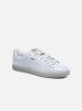 Sneakers Puma X Careaux Bog Sock By puma kopen in de aanbieding