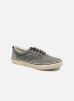 Sneakers Striper Ll Line By Sperry sperry kopen in de aanbieding