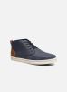 Sneakers Sigfried By I Love Shoes i love shoes kopen in de aanbieding