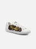 Sneakers Niagara By Ash ash kopen in de aanbieding