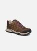 Sportschoenen Hedgehog Hike Ii Gtx W By The North Face the north face kopen in de aanbieding