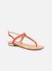 Sandalen Hizi By Cosmoparis cosmoparis kopen in de aanbieding Sandalen Hizi By Cosmoparis cosmoparis kopen in de aanbieding