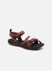 Sportschoenen Siren Strap Q2 By Merrell merrell kopen in de aanbieding Sportschoenen Siren Strap Q2 By Merrell merrell kopen in de aanbieding