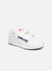 Levis Sneakers Denver 2 Velcro By Levi levis kopen in de aanbieding