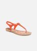 Sandalen Romantic Ii Sandal By Grendha grendha kopen in de aanbieding