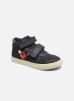 Sneakers Lorenzo By Pablosky pablosky kopen in de aanbieding