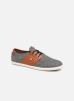 Sneakers Cypress Cotton C By Faguo faguo kopen in de aanbieding Sneakers Cypress Cotton C By Faguo faguo kopen in de aanbieding