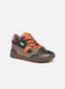 Sneakers Winbar By Kickers kickers kopen in de aanbieding Sneakers Winbar By Kickers kickers kopen in de aanbieding