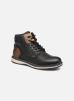 Boots En Enkellaarsjes Javier By Tom Tailor tom tailor kopen in de aanbieding