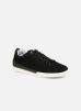 Sneakers Tampa By Kickers kickers kopen in de aanbieding Sneakers Tampa By Kickers kickers kopen in de aanbieding