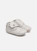 Pantoffels Baby Bear By Robeez robeez kopen in de aanbieding