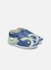 Pantoffels Blinking Fish By Robeez robeez kopen in de aanbieding