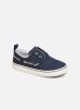 Sneakers Pasadena Bb By Toms toms kopen in de aanbieding Sneakers Pasadena Bb By Toms toms kopen in de aanbieding