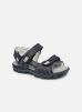Sandalen Pra 33961 By Primigi primigi kopen in de aanbieding
