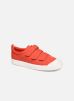 Sneakers City Flarelo K By Clarks clarks kopen in de aanbieding Sneakers City Flarelo K By Clarks clarks kopen in de aanbieding