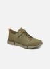 Sneakers Triverve Lace By Clarks clarks kopen in de aanbieding