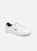 Sneakers Carnaby Evo 119 7 Sma By Lacoste lacoste kopen in de aanbieding