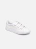 Sneakers Carnaby Evo Strap1191Sfa By Lacoste lacoste kopen in de aanbieding Sneakers Carnaby Evo Strap1191Sfa By Lacoste lacoste kopen in de aanbieding