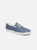 Sneakers Attic By Globe globe kopen in de aanbieding