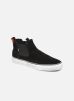 Sneakers Dover By Globe globe kopen in de aanbieding