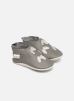 Pantoffels Papillons Gris By Bobux bobux kopen in de aanbieding