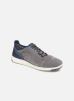 Sneakers Je Xunday 2Fit By Geox geox kopen in de aanbieding