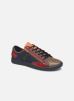 Sneakers Jestermc F4C By Pataugas pataugas kopen in de aanbieding Sneakers Jestermc F4C By Pataugas pataugas kopen in de aanbieding