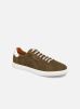 Sneakers Cup Classic Suede By Schmoove schmoove kopen in de aanbieding