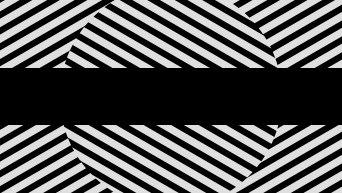 taille chaussure us femme