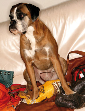 Aridza bross lyly Clearance